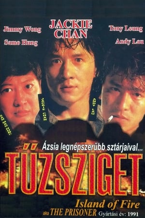 Poster Tűzsziget 1990