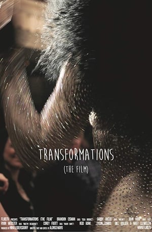 Transformations poster