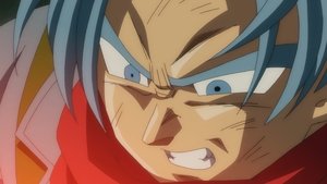 Dragon Ball Super: 4×47