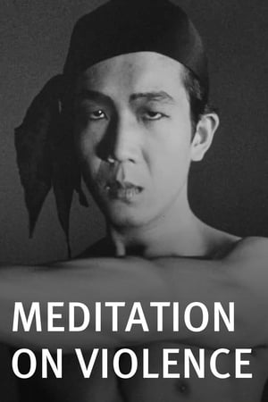 Poster Meditation on Violence 1949