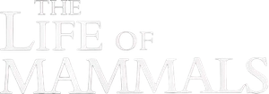 A Vida dos Mamíferos — Logos 1
