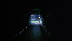 Fallen Angels ( 1995 )