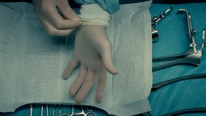 The Skin I Live In (2011)