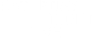 Saturday Night Live — Logos 2