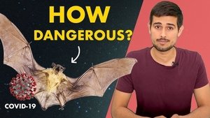 Coronavirus Source: Truth about Bats