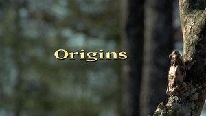 Épisode 1