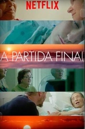 Assistir A Partida Final Online Grátis