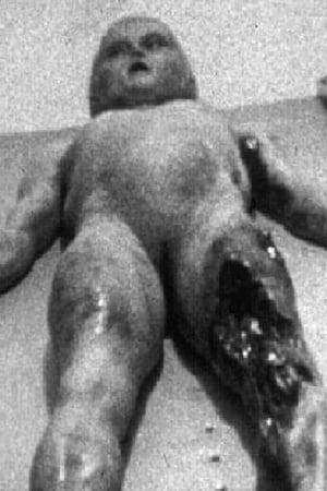 The Alien Autopsy 1995