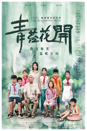 Poster 青苔花开 (2021)