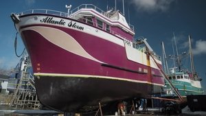 Boats, Boats, Boats