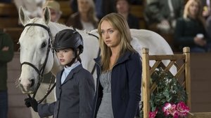 Heartland: 7×2, episod online subtitrat