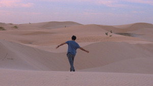 I Only Rest in the Storm