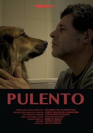 Poster Pulento (2021)