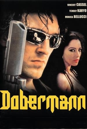 Poster Dobermann 1997