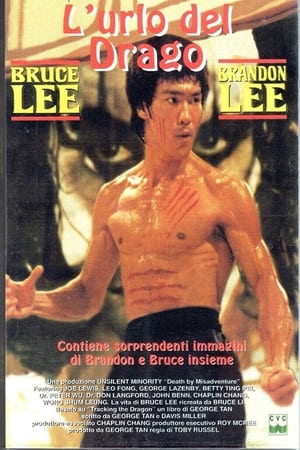 Poster Bruce Lee L'Urlo del Drago 1993