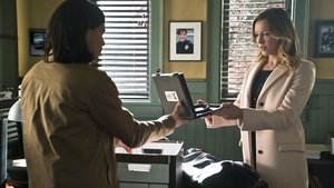 The Flash Season 1 Episode 19 : Who Is Harrison Wells?