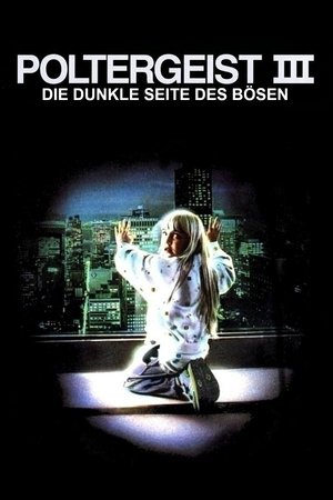 Image Poltergeist III - Die dunkle Seite des Bösen