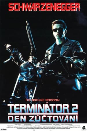 Poster Terminátor 2: Den zúčtování 1991