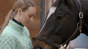 Missing Mare