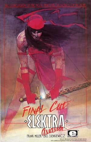 Poster Elektra: Incarnations 2005
