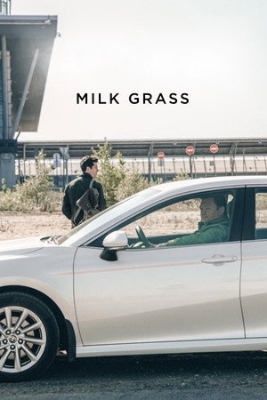 Milk Grass 75