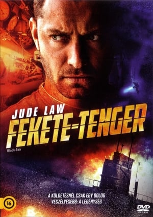 Poster Fekete tenger 2014