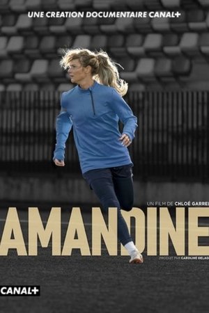 Poster Amandine 2024