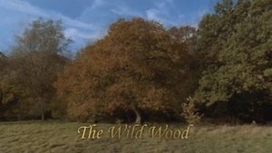 The Wild Wood