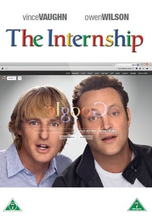 The Internship (2013)