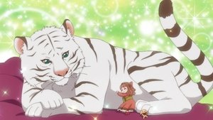 Fluffy Paradise: 1×2