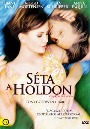 Poster Séta a Holdon 1999