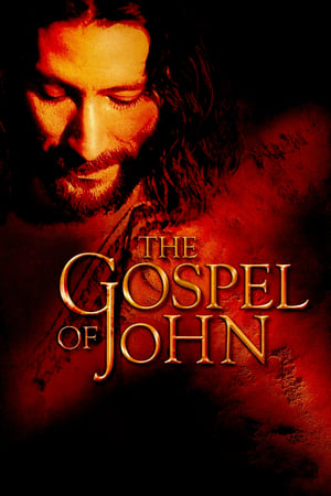 The Gospel of John-Nicolas Van Burek