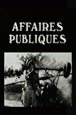 Poster Les Affaires publiques (1934)