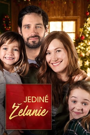 Poster Jediné želanie 2018