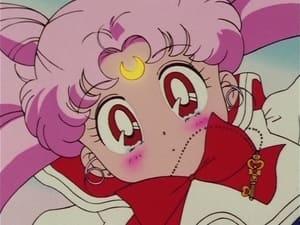 Image In Search of the Silver Crystal: Chibi-Usa's Secret