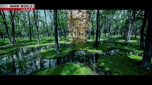 Journeys in Japan: 13×22