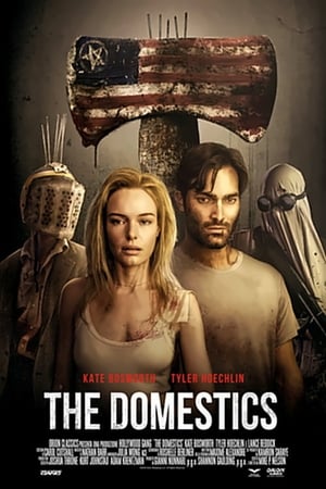 Poster di The Domestics