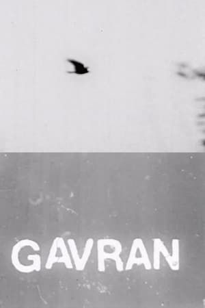 Gavran