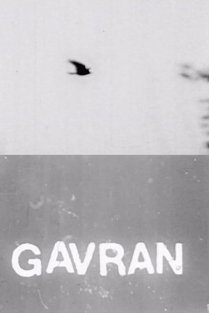 Gavran