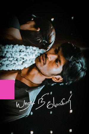 Yaaradi Nee Mohini