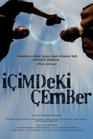 İçimdeki Çember (2013)