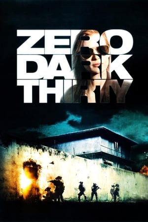 Zero Dark Thirty cover