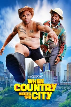 Poster When Country Meets the City ()