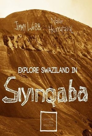 Poster Siyinqaba (2015)