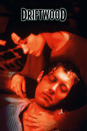 Poster Driftwood (1997)