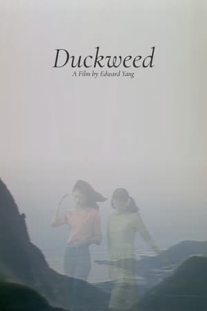 Poster Duckweed (1981)