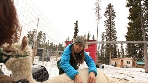 Dr. Oakley, Yukon Vet Winter Is Coming