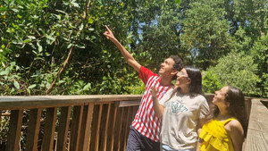 Bitácora Post-carnaval