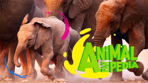 Animal Fanpedia
