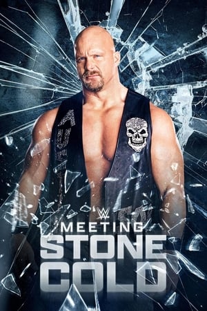Meeting Stone Cold (2021) | Team Personality Map
